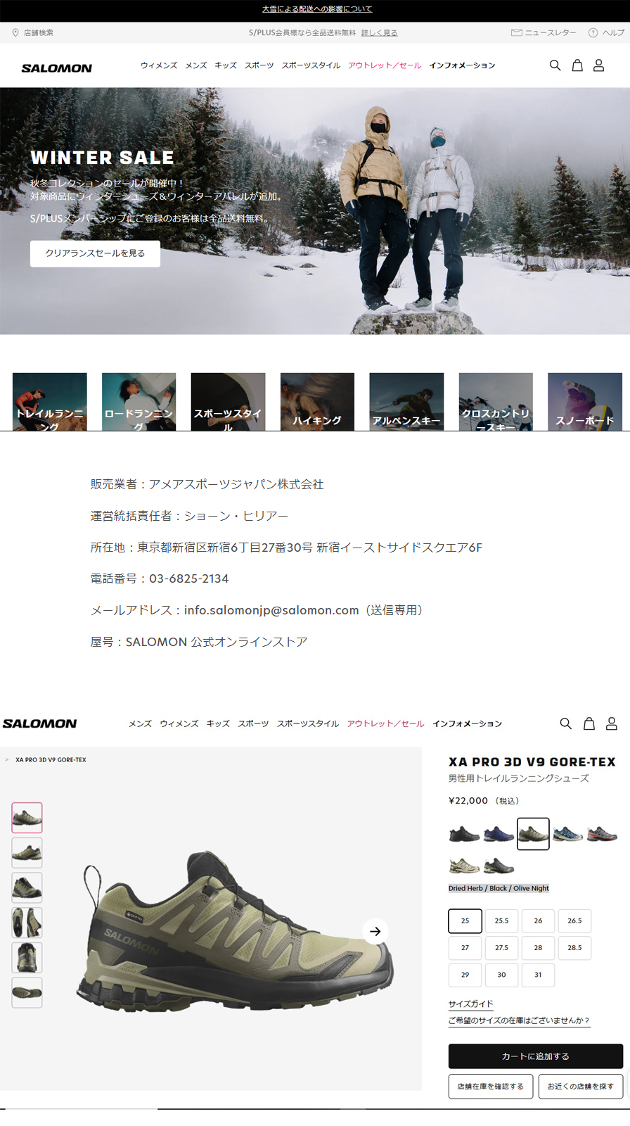 SALOMON（サロモン） SALOMON 472704 XA PRO 3D V9 GORE-TEX 男性用
