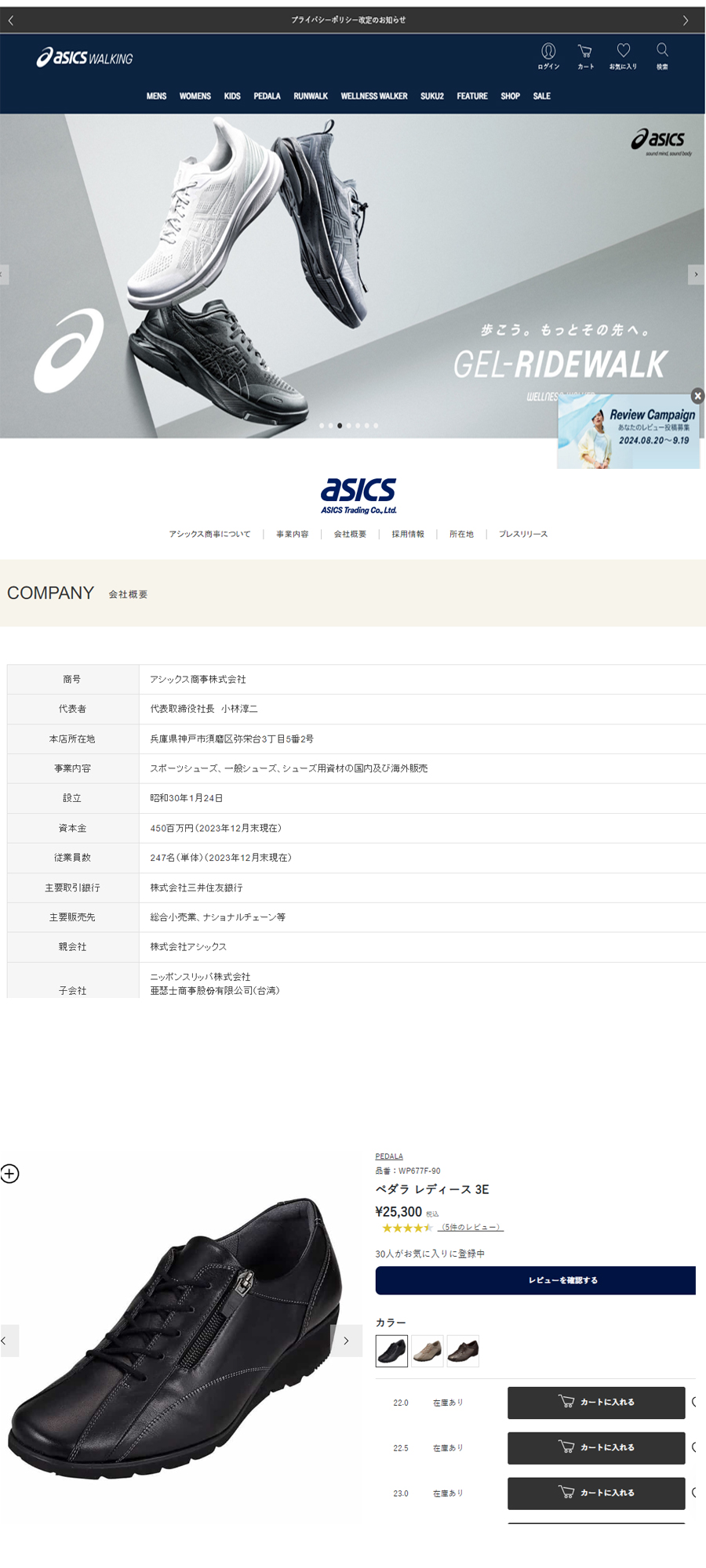 PEDALA（ペダラ） アシックス asics Pedala WP677F 3E レースアップ