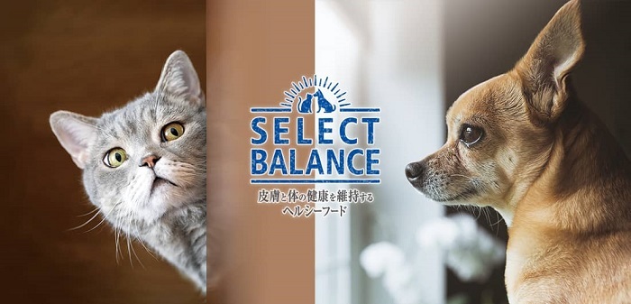 にゃんどりーむ - Yahoo!ショッピング