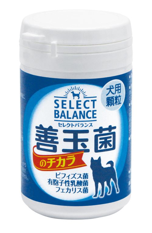 セレクトバランス 善玉菌のチカラ 犬用(顆粒) 300g : 4541851003506 : にゃんどりーむ - 通販 - Yahoo!ショッピング