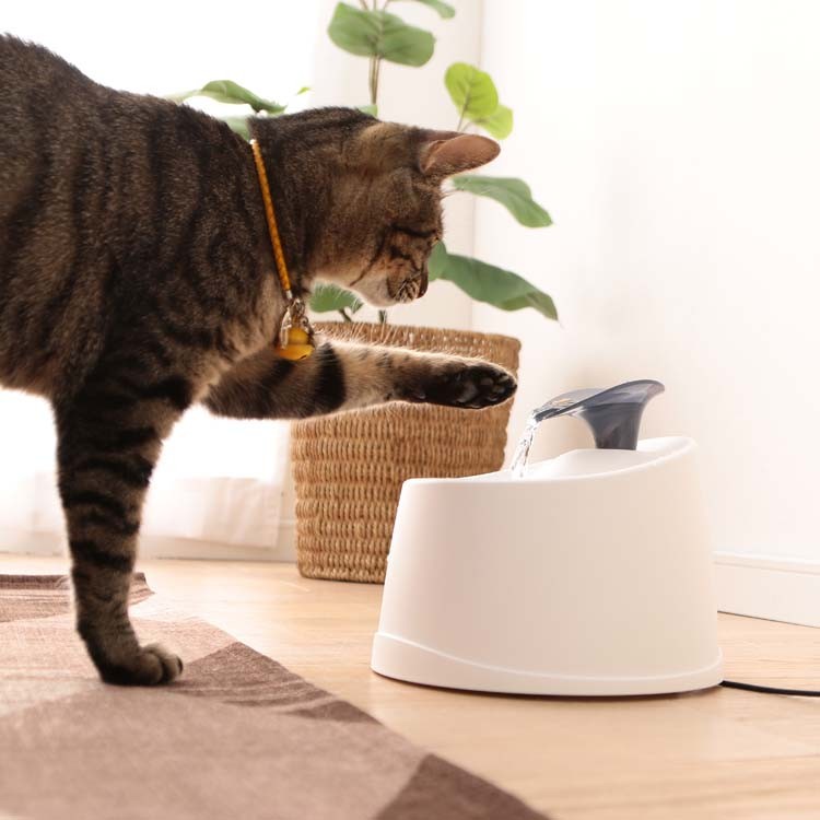 給水給水器給餌食器水自動交換ペットペット用ペット用品犬イヌいぬ犬用イヌ用いぬ用犬用品イヌ用品ネコ猫ねこ猫用ネコ用ねこ用猫用品ネコ用品ペット用自動給水機ホワイト/クリアPWF-200アイリスオーヤマ