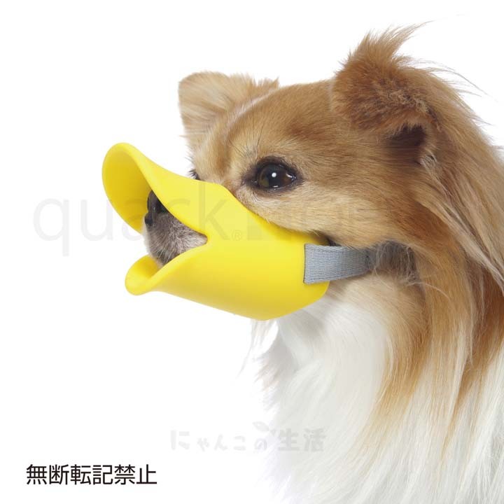 くちばし型犬のしつけ無駄吠えシリコンくちばし型無駄吠え無駄吠えくちばし型【B】OPPOquackSサイズ口輪株式会社テラモト 