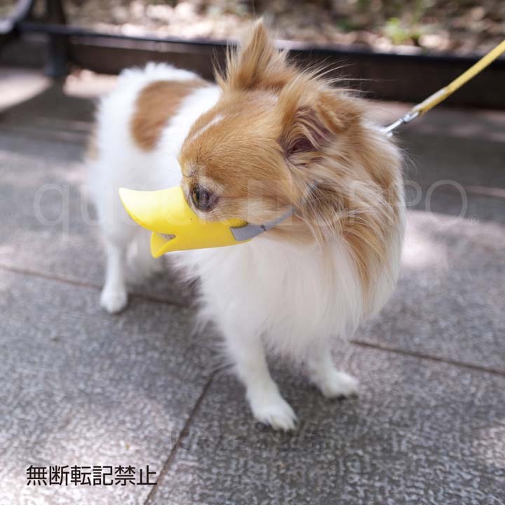 くちばし型犬のしつけ無駄吠えシリコンくちばし型無駄吠え無駄吠えくちばし型【B】OPPOquackSサイズ口輪株式会社テラモト 