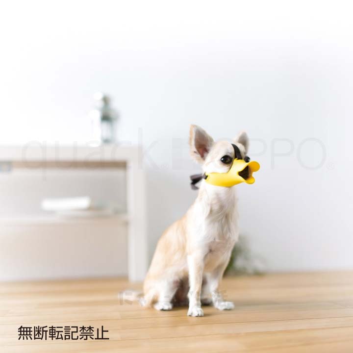 くちばし型犬のしつけ無駄吠えシリコンくちばし型無駄吠え無駄吠えくちばし型【B】OPPOquackSS口輪株式会社テラモト 