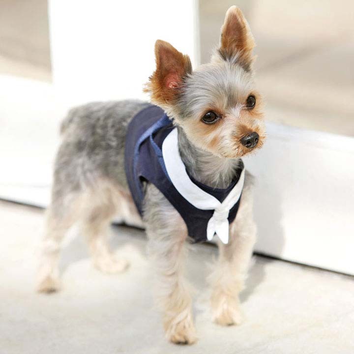 ボディーハーネス セーラーマリン 保冷剤付き 1号 犬と生活 D B メール便 ひんやり ハーネス 胴輪 散歩 犬 ドッグ 可愛い おしゃれ 小型犬 M にゃんこの生活 通販 Yahoo ショッピング