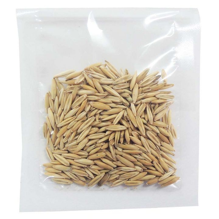 猫草猫用有機栽培国産安心こだわり草栽培キット1回分ペッツルート 