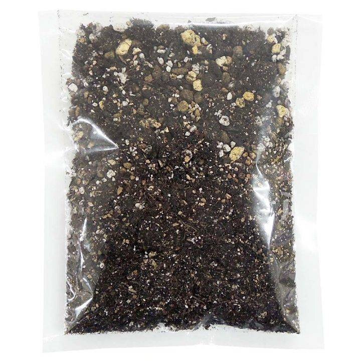 猫草猫用有機栽培国産安心こだわり草用土とタネ2回分ペッツルート 