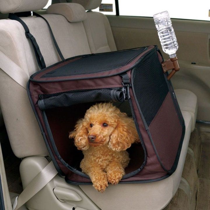 爆売り リッチェル たためるドライブペットケージ Mサイズ ブラウン ソフトケージ 小型犬 犬用 猫用 旅行 折りたたみ 車載用 直営店限定 Www Centrodeladultomayor Com Uy