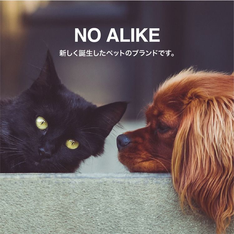 ペットローブペット用タオル吸水タオル犬用ローブ犬用品抗菌消臭バスタオルカラリシービージャパンNOALIKE抗菌ペットローブM 