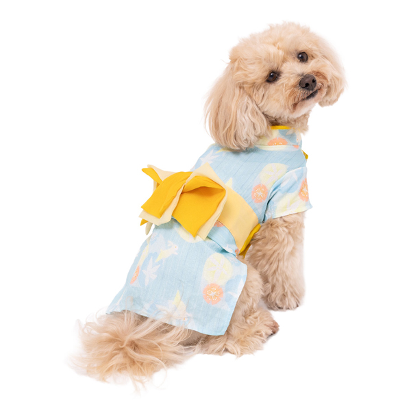 犬服 S わんこの普段着　サークルフラワー pipi 犬服 ペット用品 犬 ペット ミニチュアダックス 夏祭り 春服 夏服