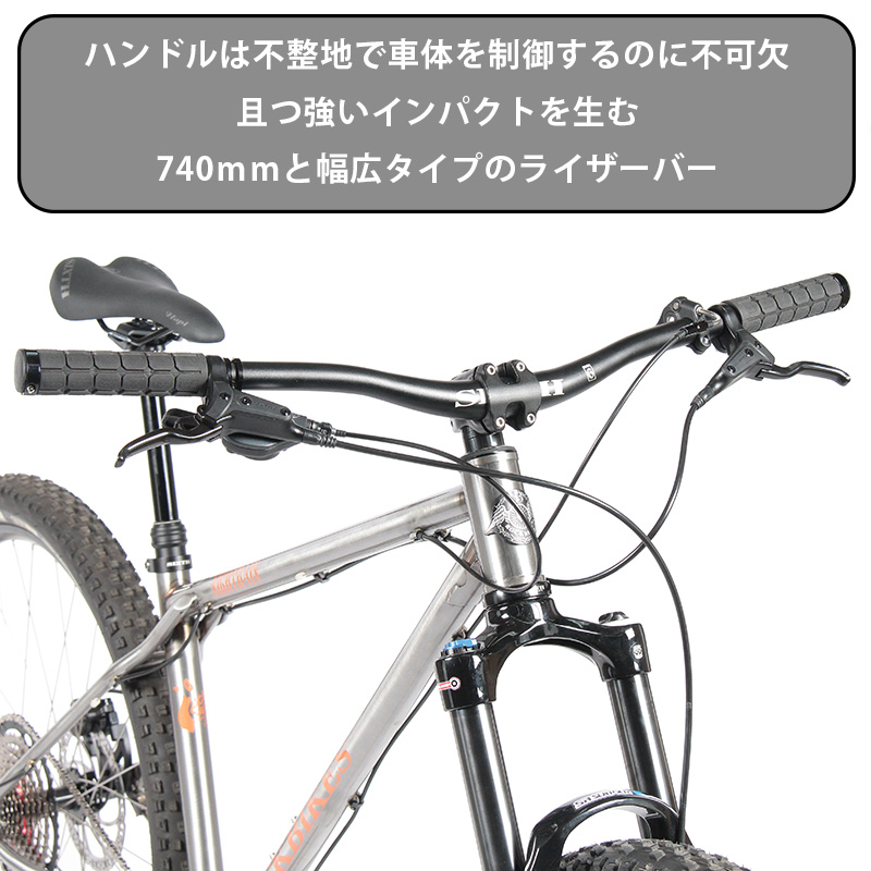 クロモリ ハードテイル マウンテンバイク ROCKBIKES Nightrain (ロックバイクス ナイトレイン) 1x12s 29er ロウカラー  エアサス ドロッパー シートポスト 完成車