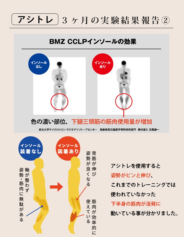 BMZ (ビーエムゼット) インソール アシトレ レディース メンズ