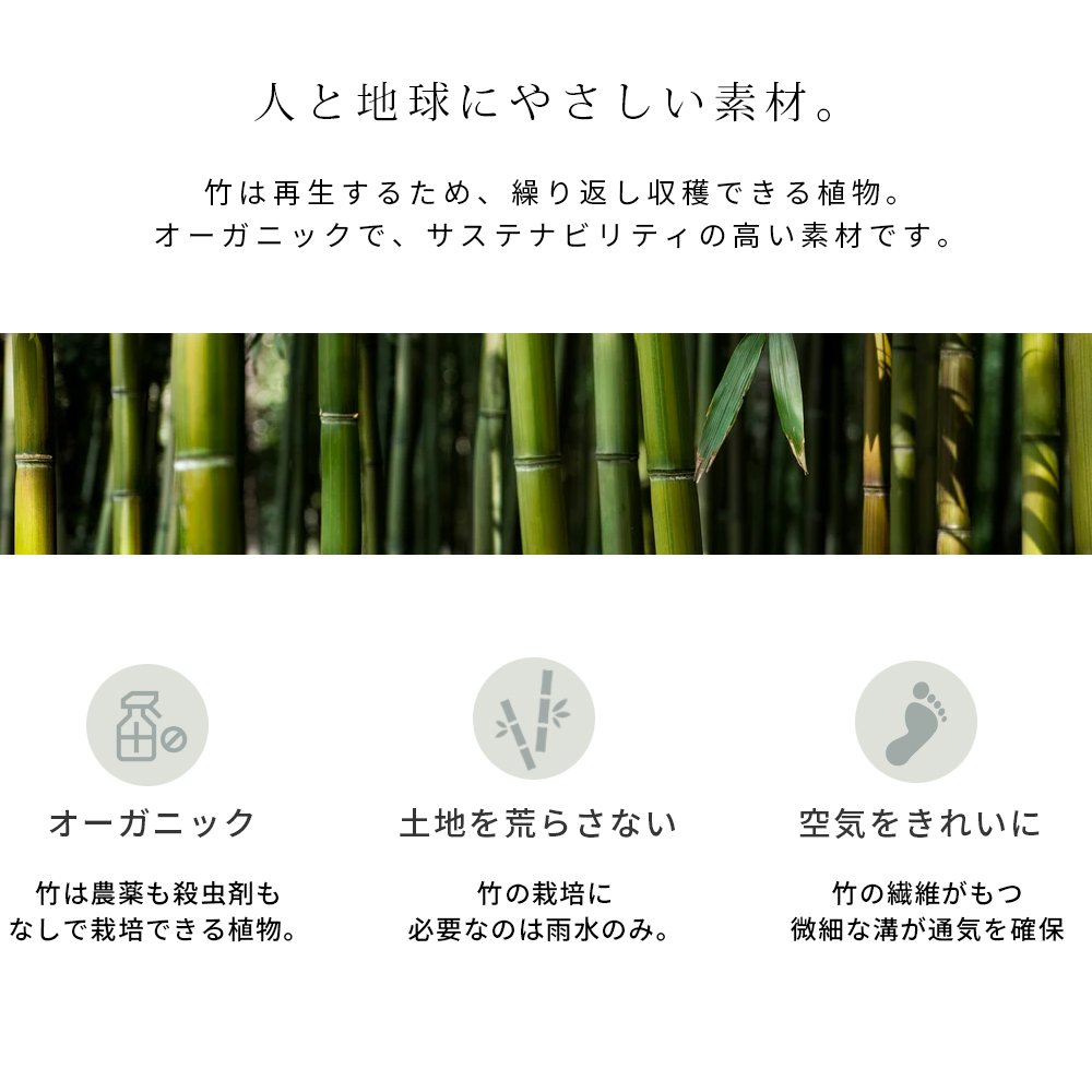 boody (ブーディ)