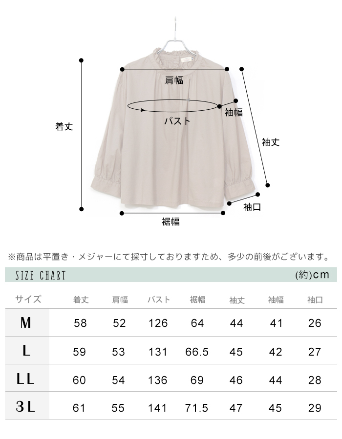 D*g*y（ディージーワイ） dgy レディース ブラウス 長袖 大きいサイズ