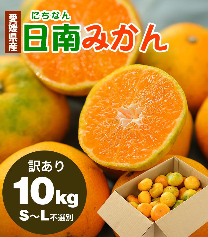 みかん 10kg 送料無料 訳あり 青切り 早生 愛媛みかん 愛媛 県産