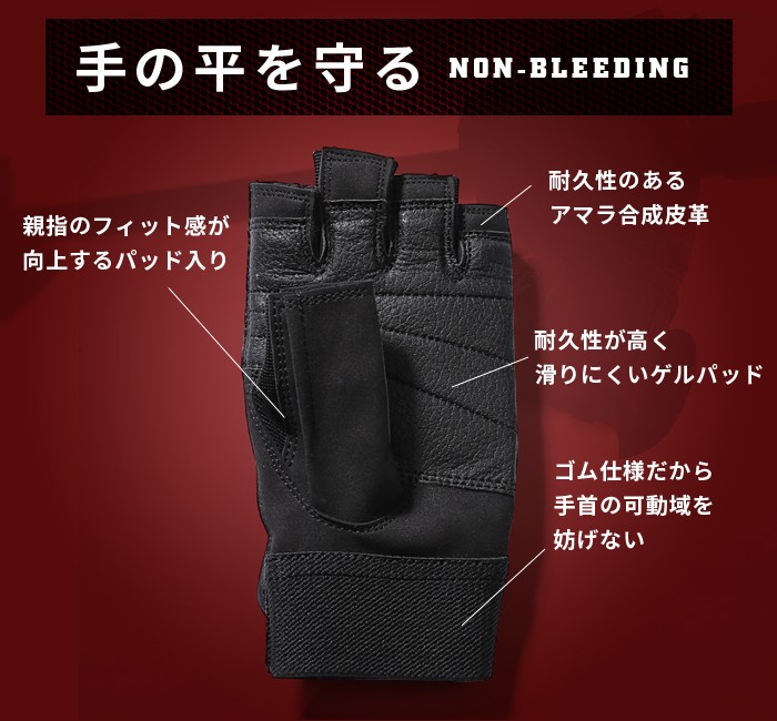Schiek シーク schiek トレーニング 筋トレ トレーニング