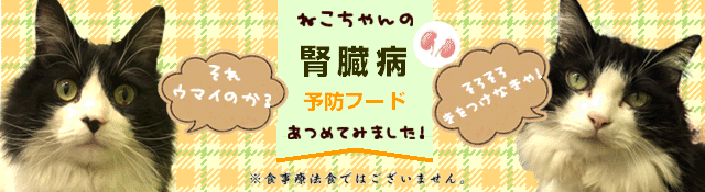 名菓撰（木々の露） 16個入｜銘菓詰合せ｜鶴屋吉信公式