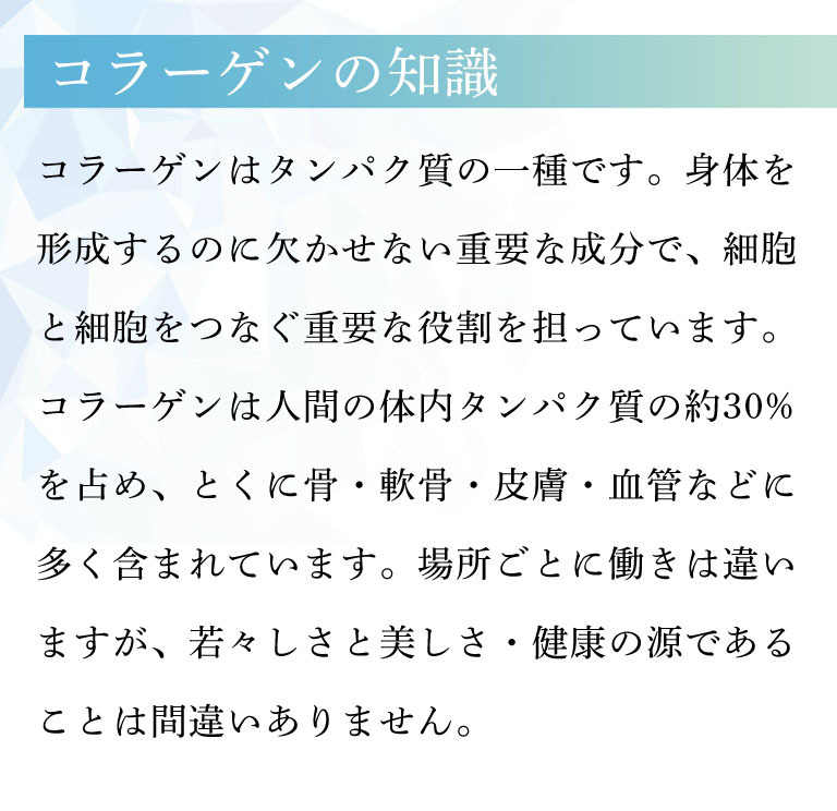 ギフ_包装】 国産 コラーゲンドリンク 前田のコラーゲン 6箱セット 30ml×10袋×6箱 fucoa.cl