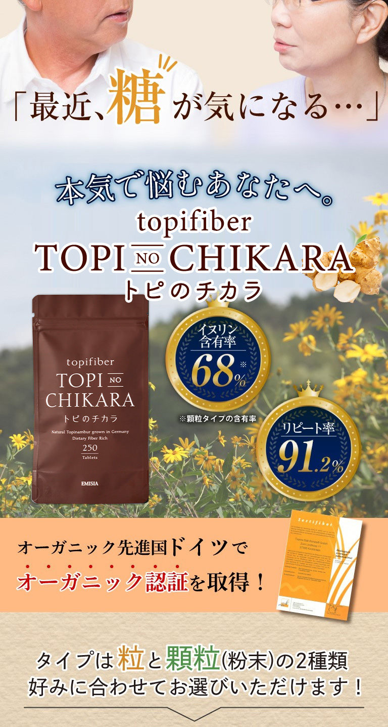 イヌリン 菊芋 サプリ 前田の菊芋 1000粒 トピファイバー 食物繊維