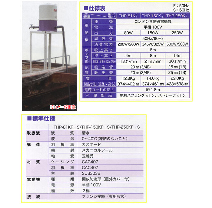 寺田ポンプ 浅井戸ホームポンプ THP-81KF(普及型) 50hz