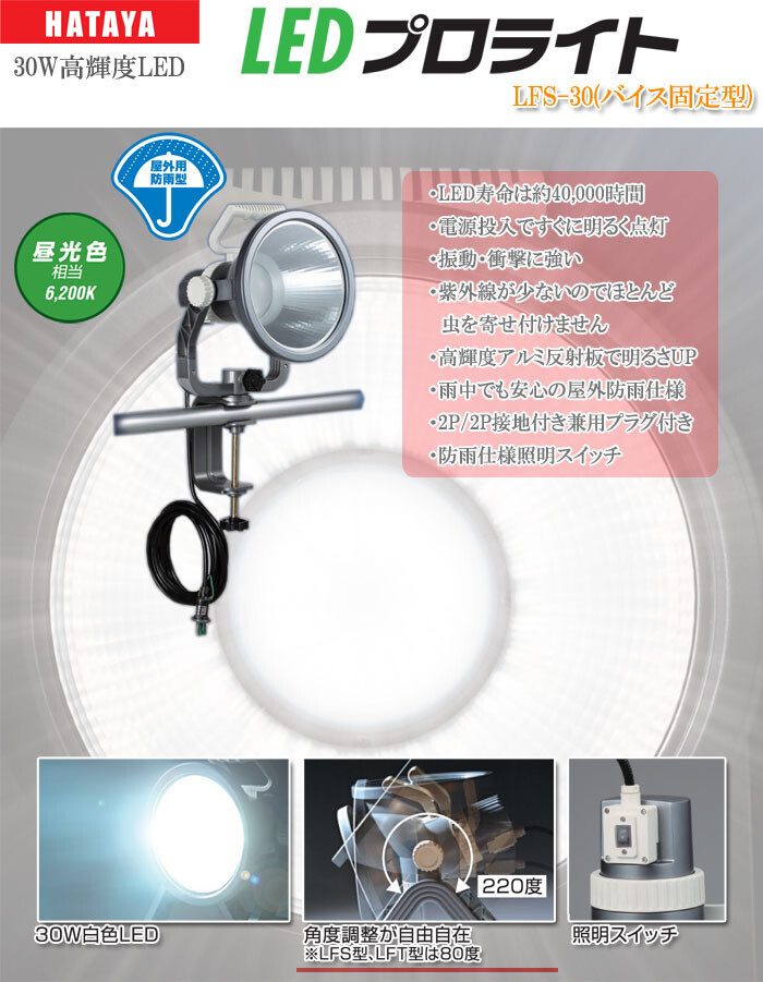 省電力型高輝度LED投光器 プロライト 30W 2000ルーメン 防雨・バイス