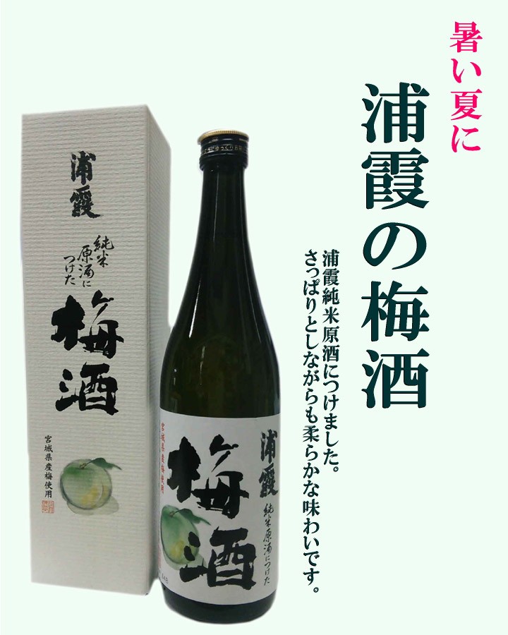 594円 魅了 浦霞の梅酒 純米原酒仕込み 720ml