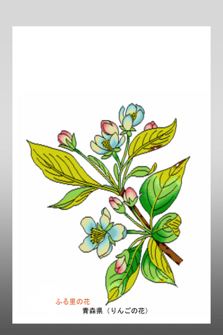 ポストカード・イラスト「ふる里の花」青森県（リンゴ）