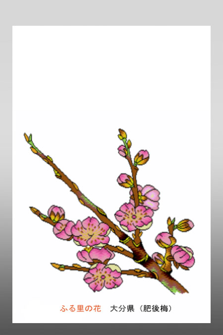 花 イラスト ポストカード 絵葉書 イラスト画 ふる里の花 大分県 豊後梅 Buyee Buyee 日本の通販商品 オークションの代理入札 代理購入