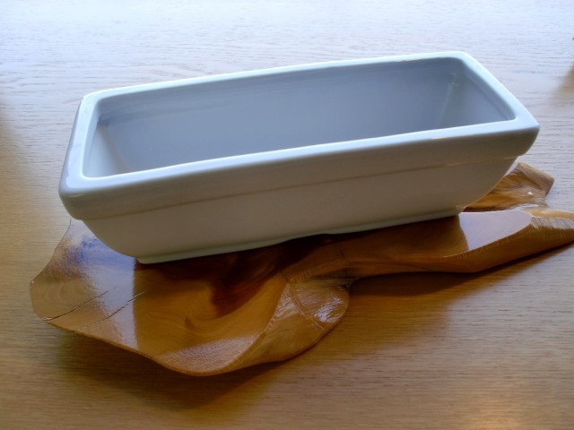 y1616.jpg