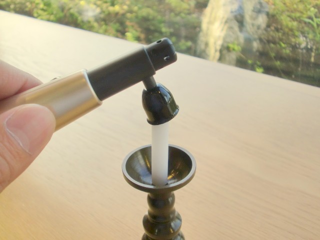 ツクツクボウシ