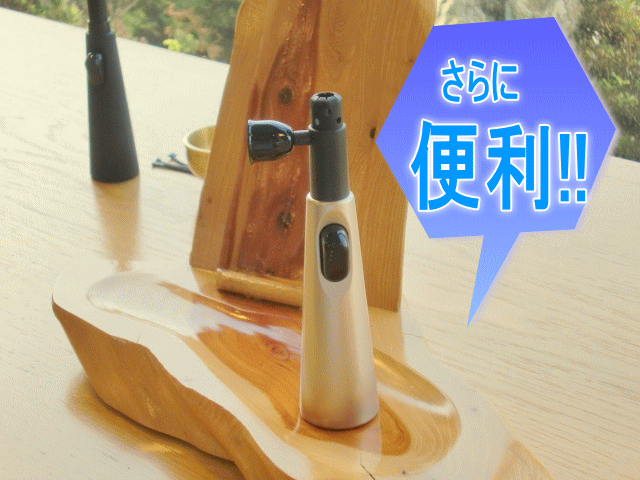 ツクツクボウシ