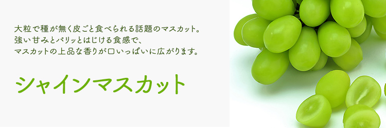 タイトル画像