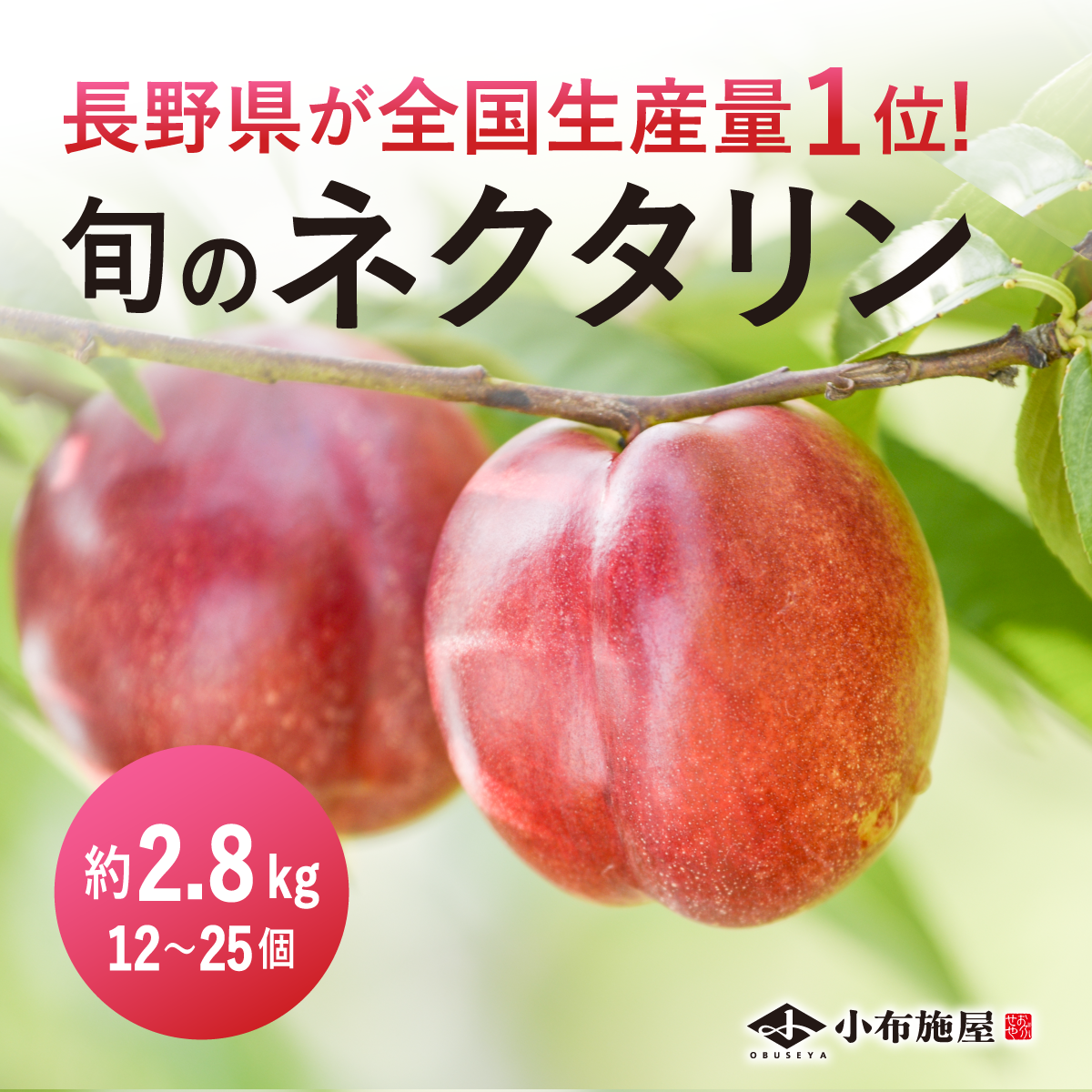 旬のネクタリン 約2.8kg /冷蔵便 送料無料 選べる発送時期 長野