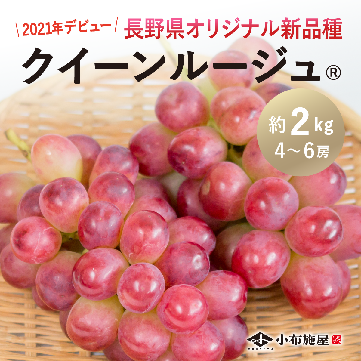 ぶどう クイーンルージュ(R) 約2kg/冷蔵便 送料無料 長野 産地直送 フルーツ 果物 葡萄 信州 小布施 ポリフェノール 数量限定 赤ぶどう