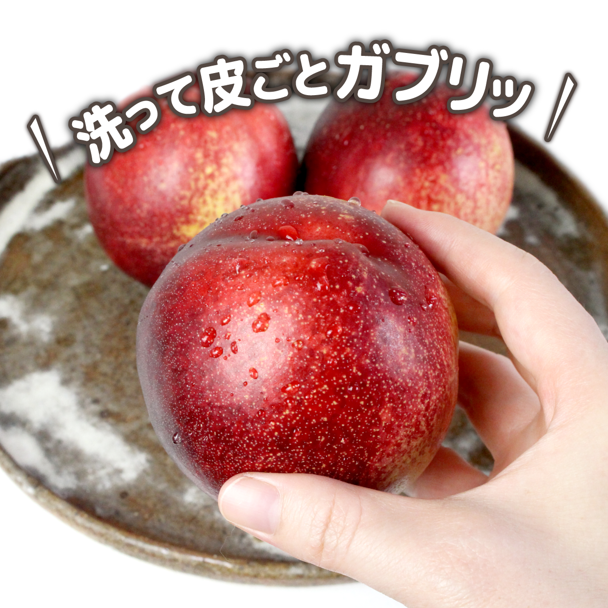 旬のネクタリン 約2.8kg /冷蔵便 送料無料 選べる発送時期 長野