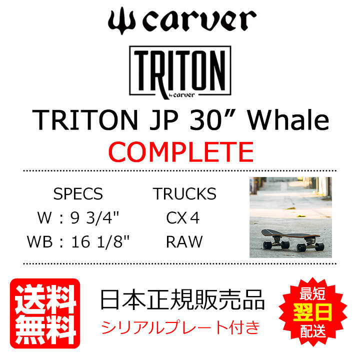 スケートボード スケボー コンプリート 30インチ CARVER カーバー