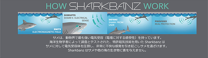 シャークバンズ 2 SHARKBANZ サメ避けバンド 磁気 フリーサイズ 足首用