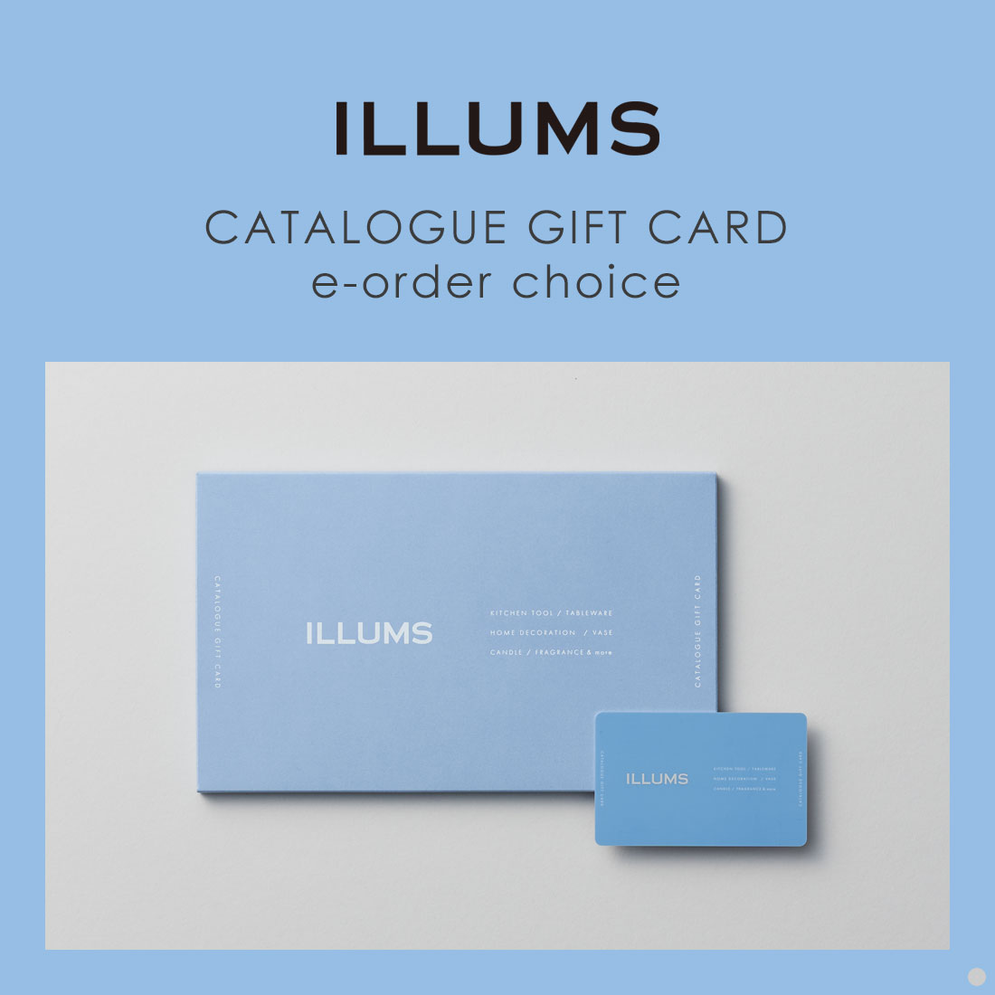 カタログギフト カードタイプ 内祝い 結婚内祝い 出産内祝い お返し ILLUMS(イルムス) e-order choice ＜ベルビュー-C＞ 商品を2点お選びいただけます。の画像