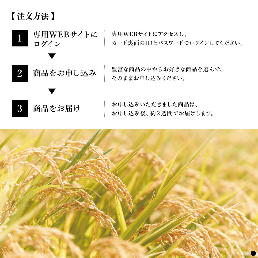 カタログギフト カードタイプ 香典返し 結婚内祝い 出産内祝い 内祝い お返し 贈り物 AKOMEYA TOKYO(アコメヤ トウキョウ) ギフトカタログ ひなたの画像