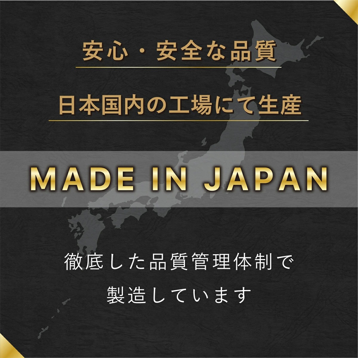 肝全制覇9