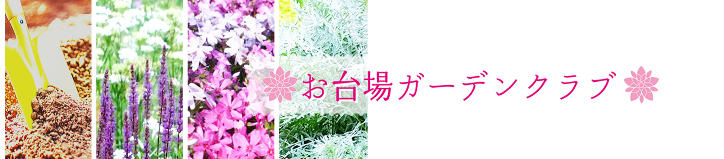 お台場ガーデンクラブ ヘッダー画像