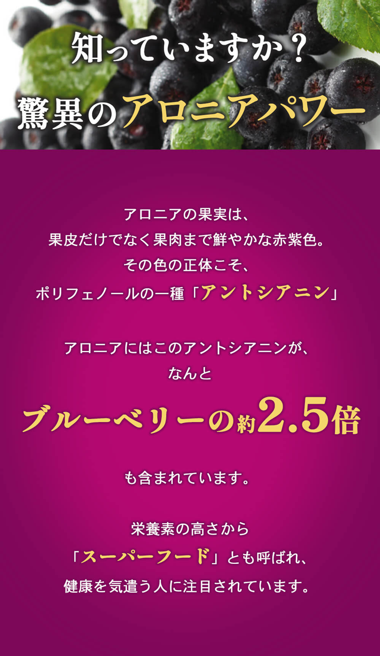 ジャム アロニアジャム 140g×1個 ギフト プレゼント