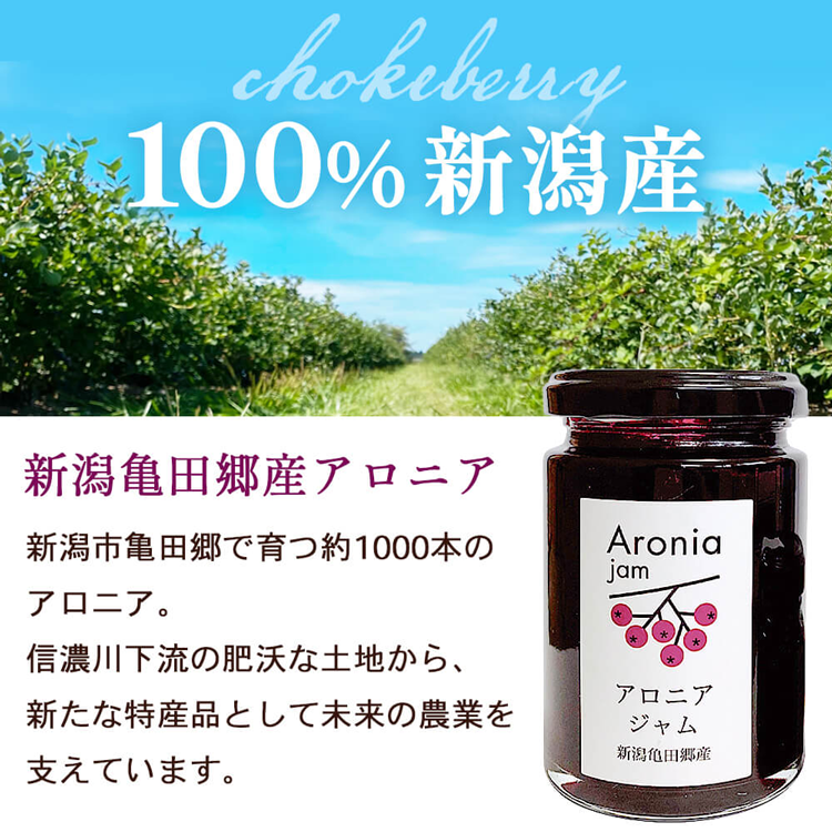 ジャム アロニアジャム 140g×1個 ギフト プレゼント アントシアニン