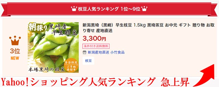 Yahoo!ショッピング人気ランキング