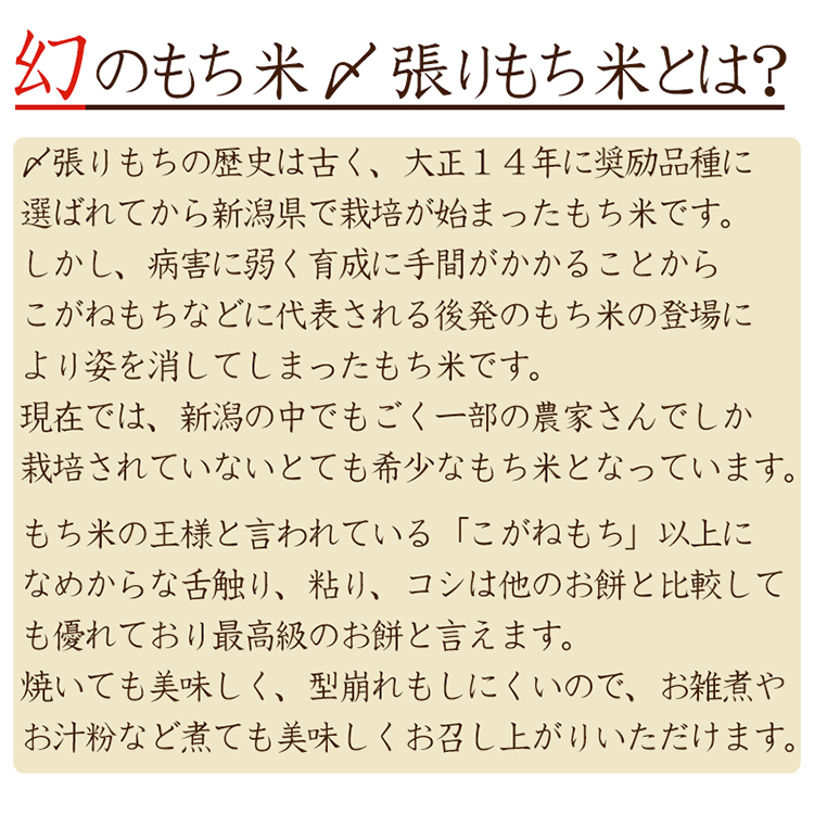 13周年記念イベントが 最大29倍 お餅 切り餅 よもぎ餅 コジマフーズ 玄米よもぎもち 250g ２０個セット 送料無料 qdtek.vn