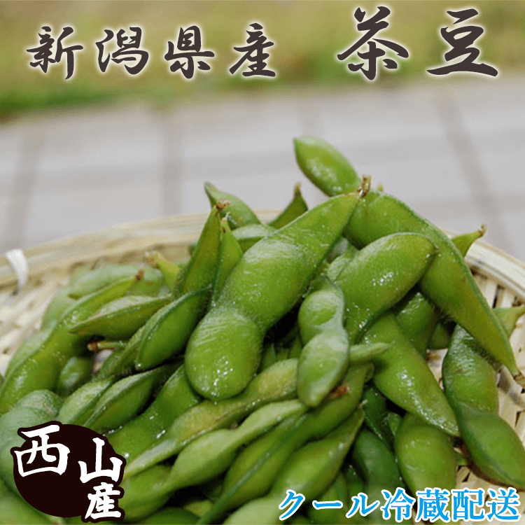 枝豆 新潟県産茶豆 1.5kg 新鮮朝採り 御中元 お取り寄せ ギフト : tyamame : 新潟産地直送 小竹食品 - 通販 -  Yahoo!ショッピング