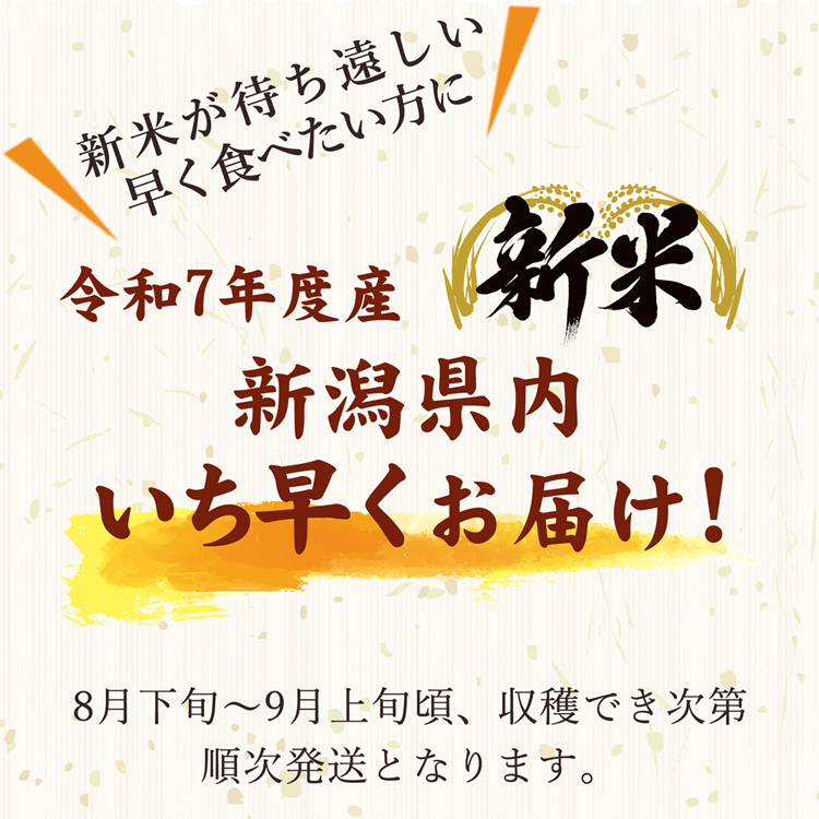 新米 新潟県産 葉月みのり 5kg 令和7年産 入荷 新品種 はづき