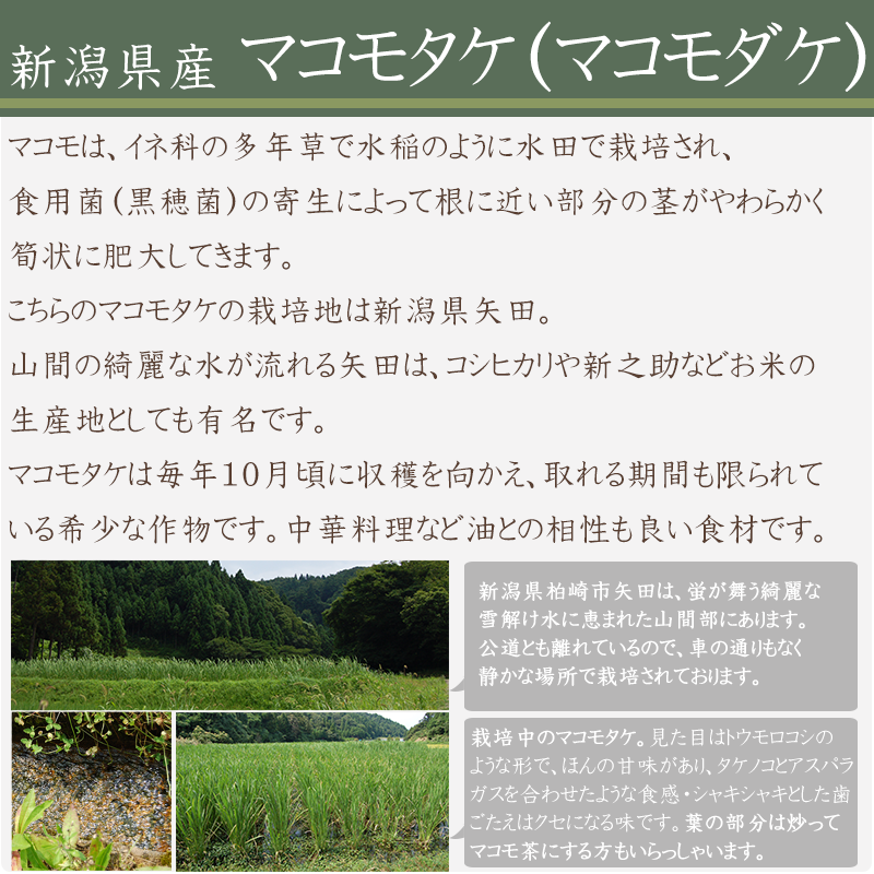 マコモタケとは