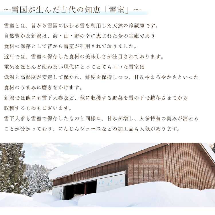 雪室とは