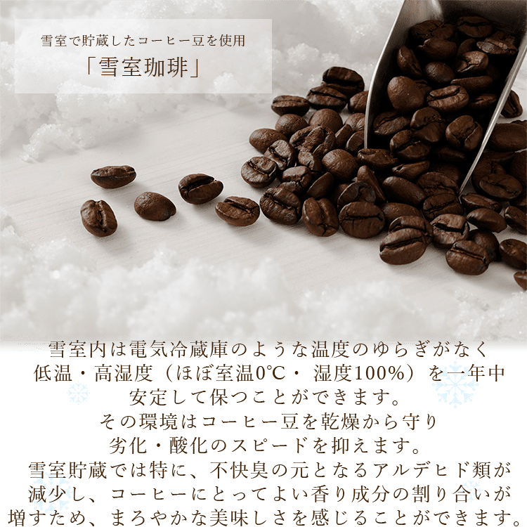 雪室珈琲